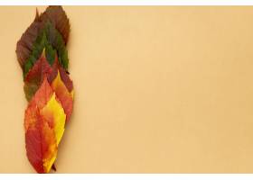 顶视图美妙地色的秋叶与拷贝空间_11282275