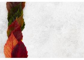色的秋叶顶视图与拷贝空间的_11282034