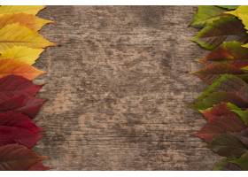 色的秋叶顶视图在木表面上的与拷贝空间_11282152