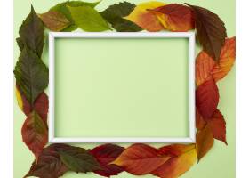 美丽的秋叶顶视图与拷贝空间和框架的_11282283