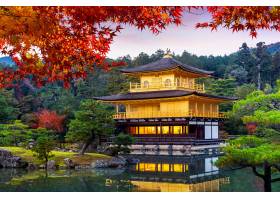 金亭 Kinkakuji寺庙在秋天京都在日本_10695507