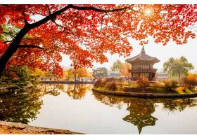 秋天在庆大省宫殿汉城在韩国_11306559