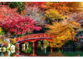 秋天季节在日本美丽的秋天公园_10695479