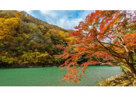 秋天季�的Arashiyama沿河在京都日本_10824540