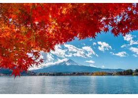 秋季季节和富士山在Kawaguchiko湖日本_10824583
