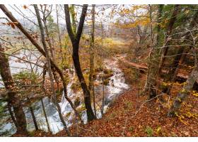 射�羟锾焐�林和短的瀑布在Plitvice湖��家公_10399386