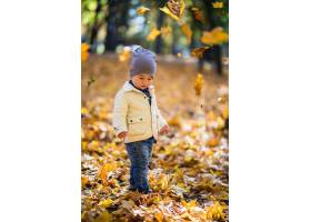 使用和扔叶子的小男孩在秋天公园_10147708