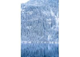 有很多树的美好的风景用雪盖的在反射在湖的