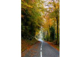 一条路的美好的风景在有很多五颜六色的秋天_13381957