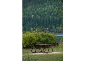 在森林公园的一个湖边的长凳