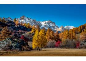 在雪和秋天树盖的山风景视图