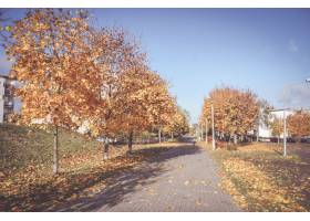 一个边路的美好的风景围拢由与干叶子的秋天