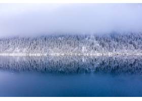 与湖的冬天风景围拢由积雪的树在清早