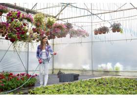 女性卖花人在温室喷洒和浇灌的植物