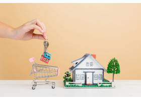 房地产市场与房子和迷你房子购物车