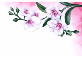 手绘水彩花卉背景_15591494