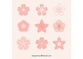 粉红色的花朵的集合与各种各样的设计