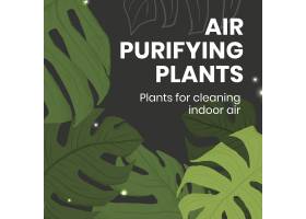 与空气净化植物文本的室内植物社会媒介模板