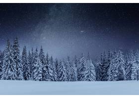 星际迷航在冬天的树林里戏剧性和如画