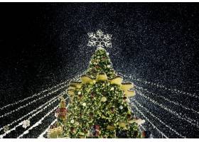美丽的圣诞树免费照片