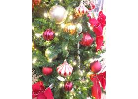 圣诞树4,圣诞树,圣诞节,事件,冬季,活动,党,童话,红色蝴蝶结,红色