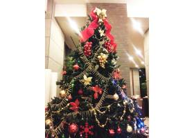 圣诞树,正统,一个博客,冷杉,旗帜,经典,红色蝴蝶结,明星,色带,装