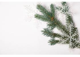 冷杉树叶和圣诞树装饰品38,雪晶,冷杉,モミ,冷杉,白回来,圣诞饰品