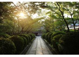 阳光离开,京都,清水寺,自然,太阳,壁纸,旅游,和,人物,旅,629603