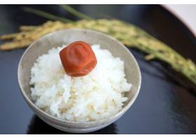 大米和Umeboshi,米,饭,饭,饭碗,碗,白米,饭,越光,食品,640959