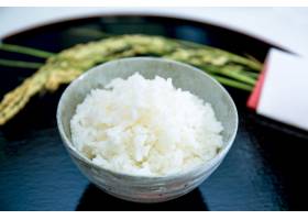 饭,碗,白米,饭,饭,饭,越光,食品,烹饪,日本,640967