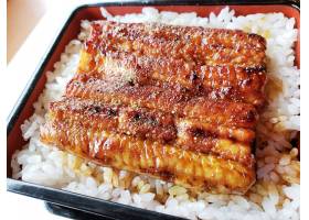 Unaju,鳗,一碗米饭,餐,日本,日本食品,奢侈品,盛宴,奖励,1939493
