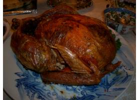 动物,食品及饮料,土耳其鸟烤的烤,土耳其,烤鸟,烤,圣诞节,烤箱烹