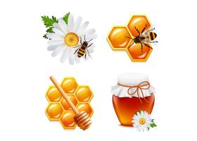 蜂蜜食品元素集雏菊大黄蜂蜂巢分离载体插图