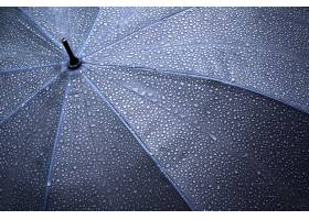 雨滴,伞,科蒙,水滴,模式,1877690